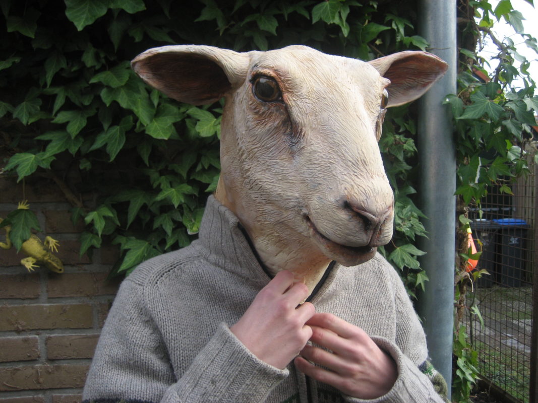 schaap masker